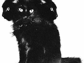 sakuralaio live webcam thumbnail