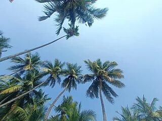 sanju_5418 live webcam thumbnail