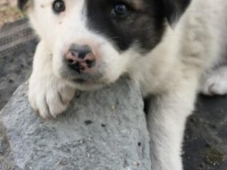 saye0044 live webcam thumbnail