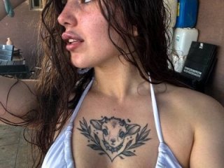 ScaNovaXen_ live webcam thumbnail