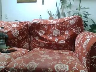 schaufler live webcam thumbnail