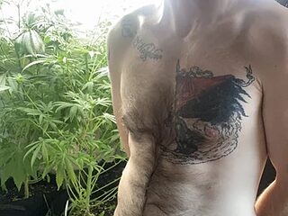 SeanSativa live webcam thumbnail