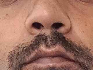 ShowedWringer live webcam thumbnail