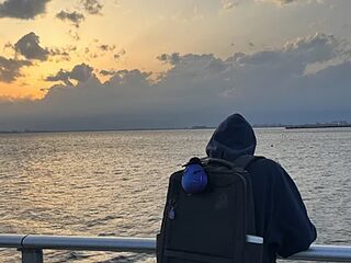 sheling live webcam thumbnail