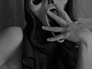 SilentScreamsVan- live webcam thumbnail