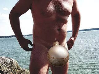 SisuStallion live webcam thumbnail
