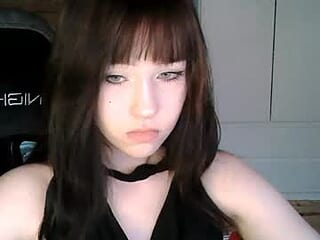 softieva live webcam thumbnail
