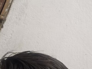 SpongedThinking live webcam thumbnail