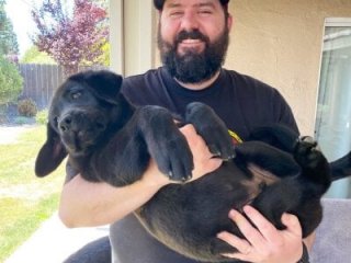 spanky10000 live webcam thumbnail