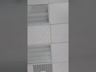 spector0706 live webcam thumbnail