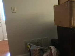 spellkye live webcam thumbnail