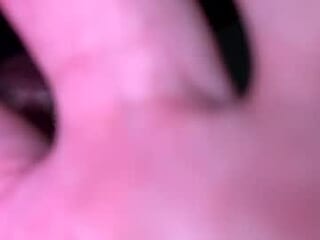 starkey1903 live webcam thumbnail