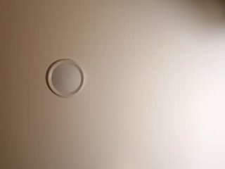 stewbeey live webcam thumbnail