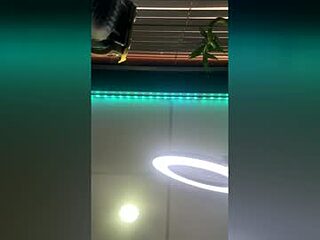 strong_rock69 live webcam thumbnail