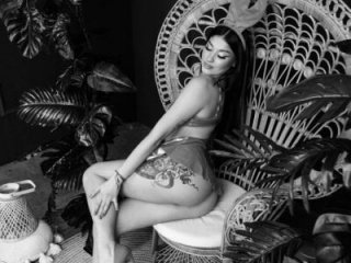 SuzanStacks live webcam thumbnail