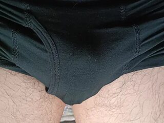 subarashii-nihon live webcam thumbnail