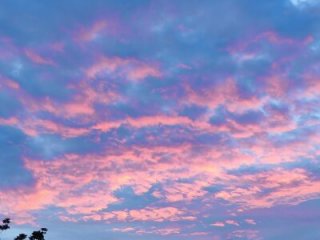 suckthebigdick0305 live webcam thumbnail