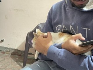 sugareboy live webcam thumbnail