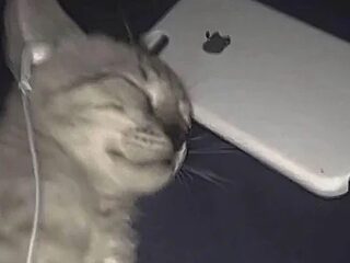 superlil2210 live webcam thumbnail