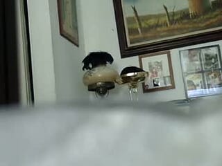 t598602803491 live webcam thumbnail