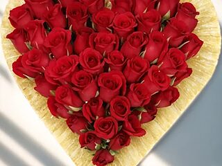 TamilRedchilli live webcam thumbnail