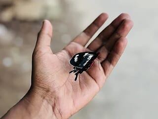 Teluguhyd live webcam thumbnail