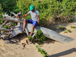 TheCaptainMerlin live webcam thumbnail