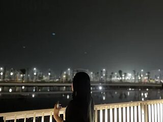 thanh_ny live webcam thumbnail
