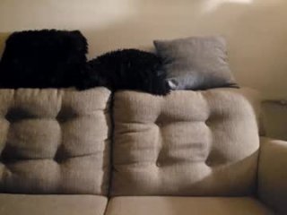 theenie37773 live webcam thumbnail
