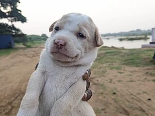 TinyBoy27 live webcam thumbnail