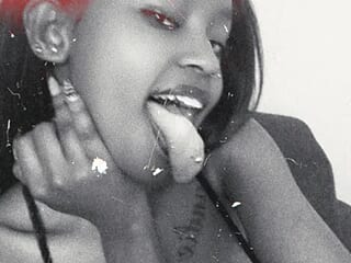 Tinydakota live webcam thumbnail
