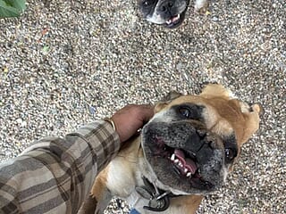 Tonybz0 live webcam thumbnail