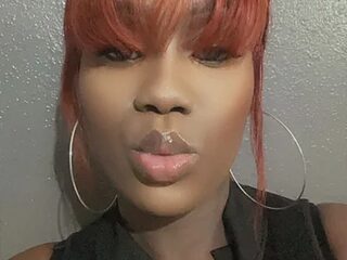 Topgyalmel live webcam thumbnail