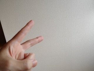 toho_cst live webcam thumbnail
