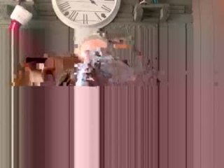 tommyandbroooks live webcam thumbnail