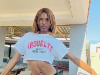 Trans_fairy live webcam thumbnail