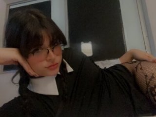 transilbriana live webcam thumbnail