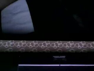 traveller313 live webcam thumbnail