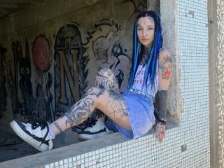 Velvetbat live webcam thumbnail