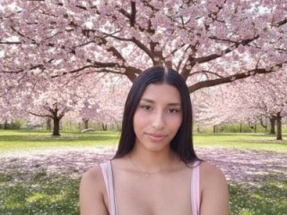 vieernes live webcam thumbnail