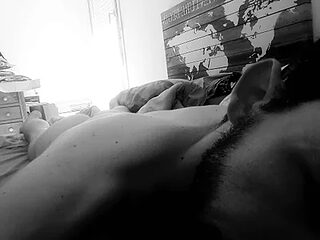 VoisinCoquindiff live webcam thumbnail