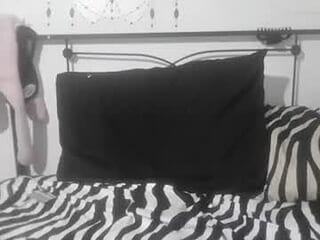 volpecesare419 live webcam thumbnail