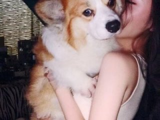 vyizh- live webcam thumbnail