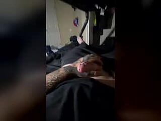 warnoe101 live webcam thumbnail