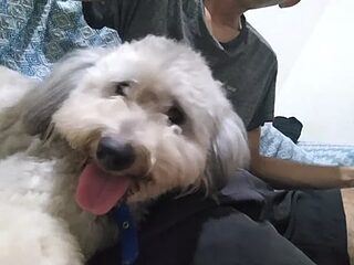 welitonzz28 live webcam thumbnail