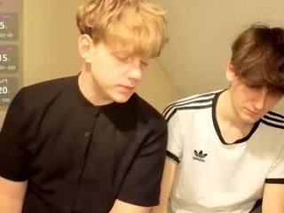 wesides live webcam thumbnail