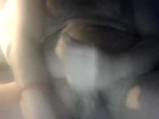 whaat live webcam thumbnail