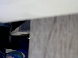 whvman48 live webcam thumbnail