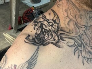 WIDBIGWHITECOCK live webcam thumbnail