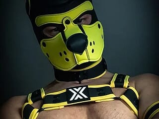 WildyLynx live webcam thumbnail